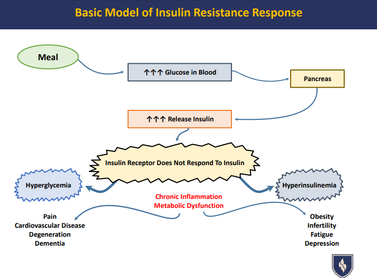 insulin resistance diagram